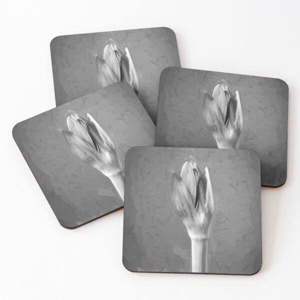 Item preview, Sweet Lillian Amaryllis Buds X401 designed and sold by RichFrancoCars.