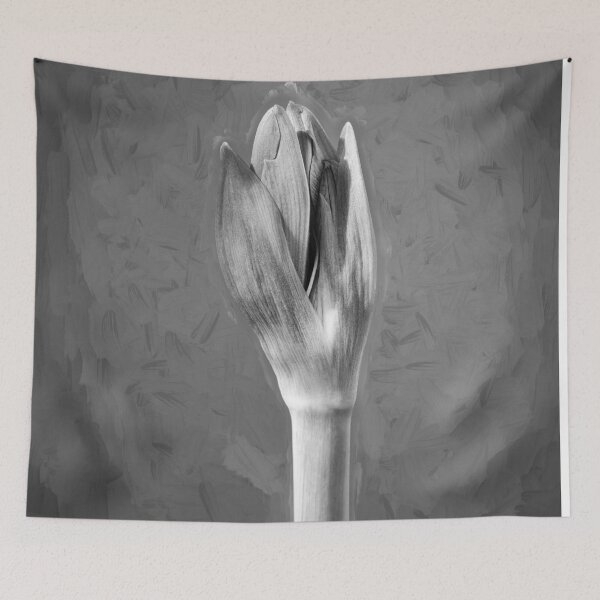 Item preview, Sweet Lillian Amaryllis Buds X401 designed and sold by RichFrancoCars.