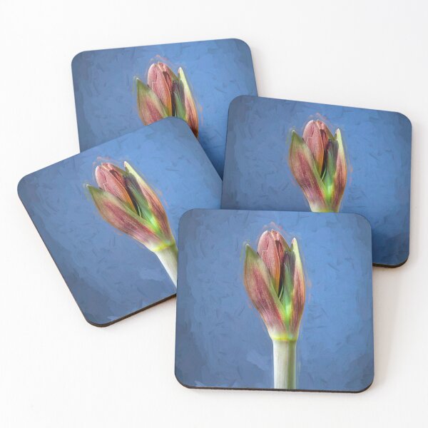 Item preview, Sweet Lillian Amaryllis Buds X402 designed and sold by RichFrancoCars.