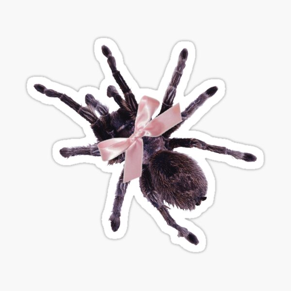 Item preview, Coquette tarantula designed and sold by PixiStixxharri.