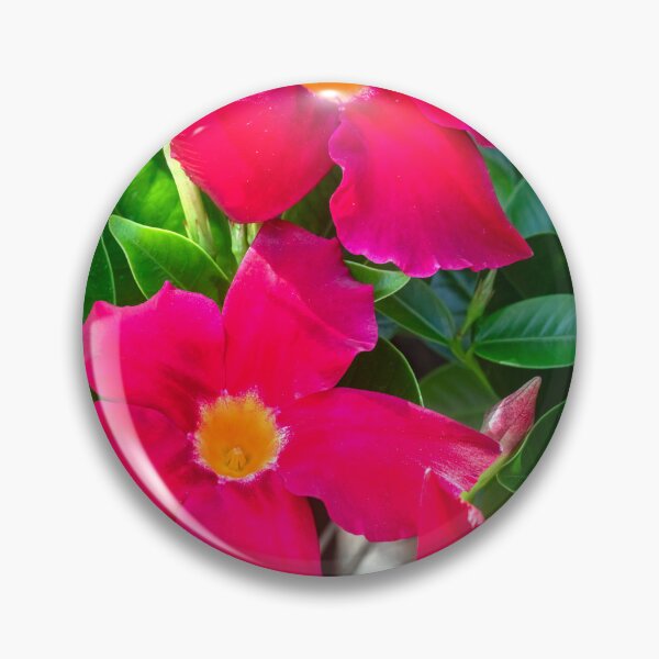 Item preview, Red Mandevilla Flower Vine X205 designed and sold by RichFrancoCars.