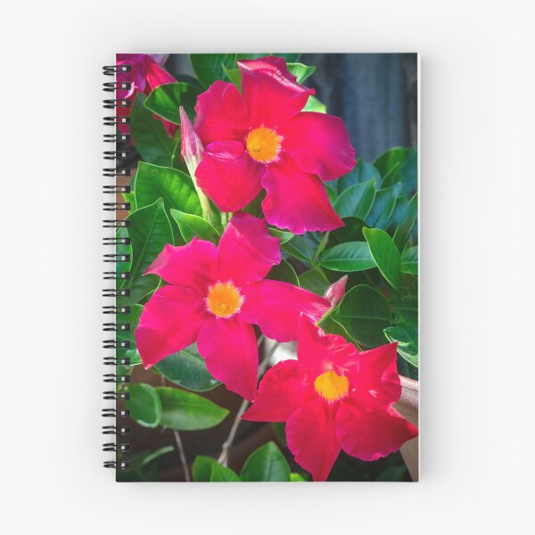 Item preview, Red Mandevilla Flower Vine X205 designed and sold by RichFrancoCars.