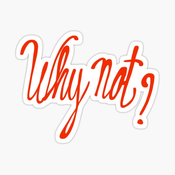 Why not Joost Klein Sticker