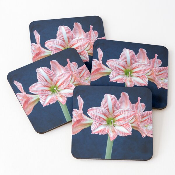 Item preview, Sweet Lillian Amaryllis X405 designed and sold by RichFrancoCars.