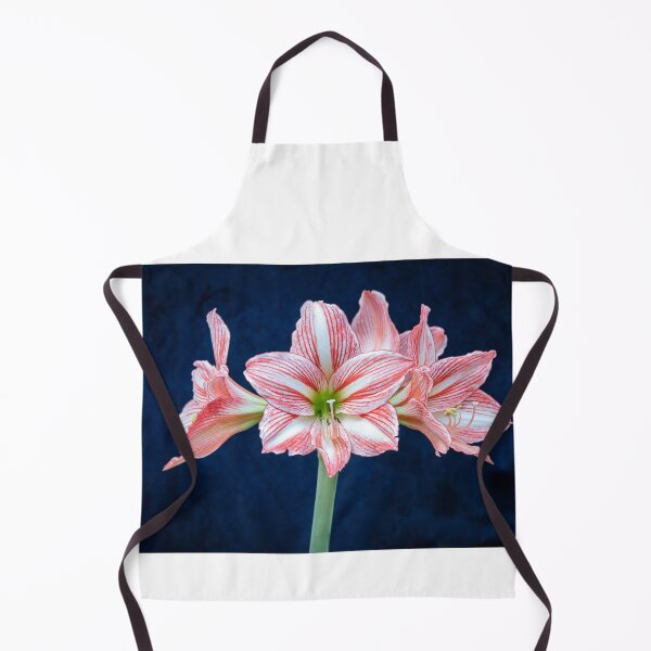 Item preview, Sweet Lillian Amaryllis X405 designed and sold by RichFrancoCars.