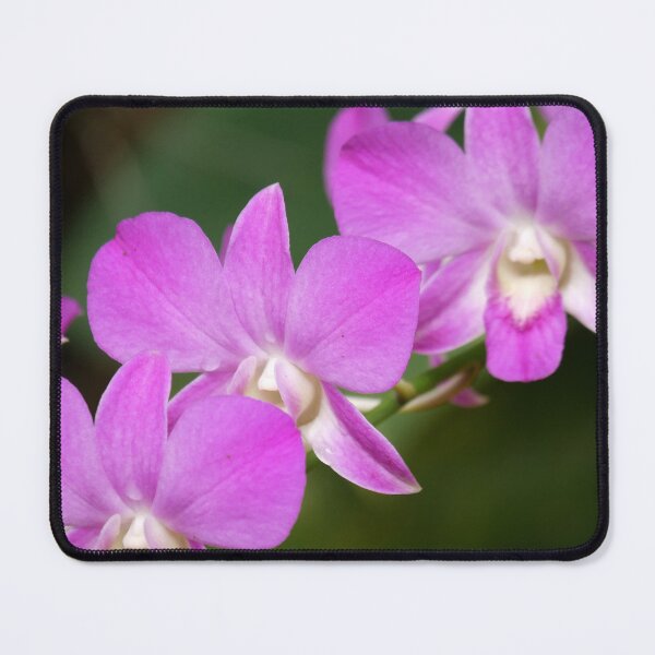 Item preview, Wild Orchid Babies designed and sold by SeeGodAroundUs.