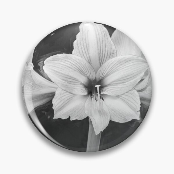 Item preview, Sweet Lillian Amaryllis X407 designed and sold by RichFrancoCars.