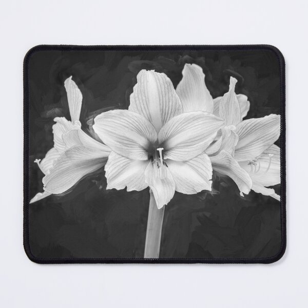 Item preview, Sweet Lillian Amaryllis X407 designed and sold by RichFrancoCars.