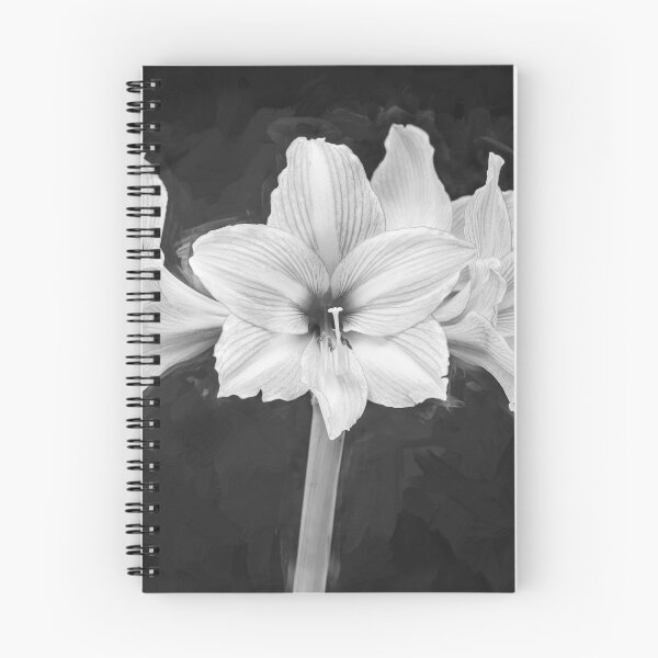 Item preview, Sweet Lillian Amaryllis X407 designed and sold by RichFrancoCars.