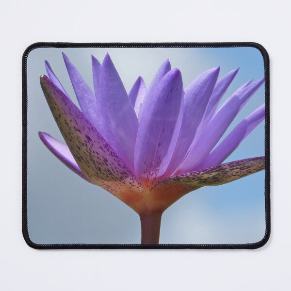 Item preview, Water Lily 1 designed and sold by SeeGodAroundUs.