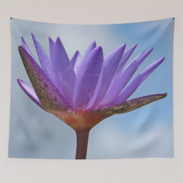 Item preview, Water Lily 1 designed and sold by SeeGodAroundUs.