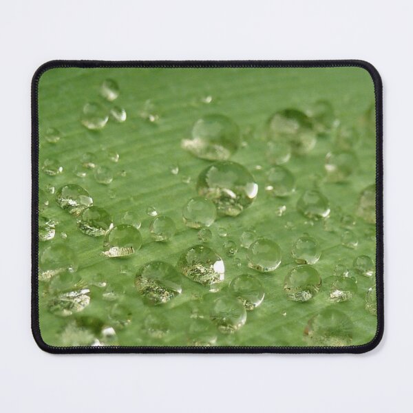Item preview, Water Drops Leaf 1 designed and sold by SeeGodAroundUs.