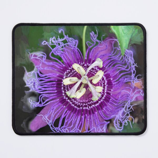 Item preview, A Passion for Flowers Passion Flower X108 designed and sold by RichFrancoCars.