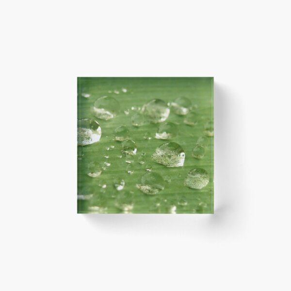 Item preview, Water Drops Leaf 3 designed and sold by SeeGodAroundUs.