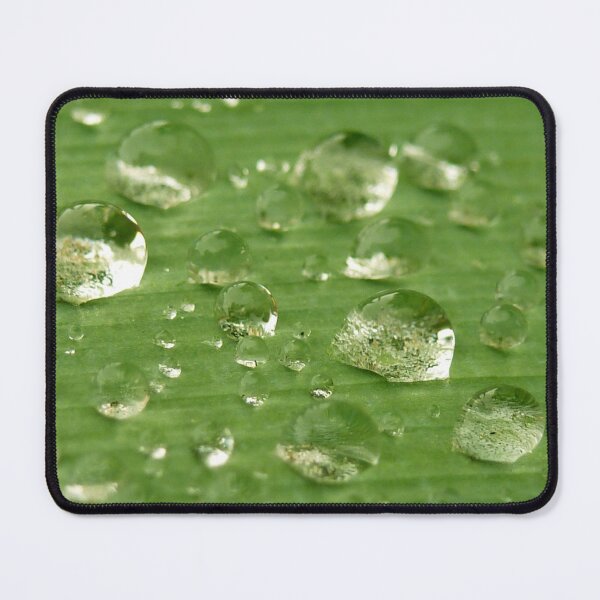 Item preview, Water Drops Leaf 3 designed and sold by SeeGodAroundUs.