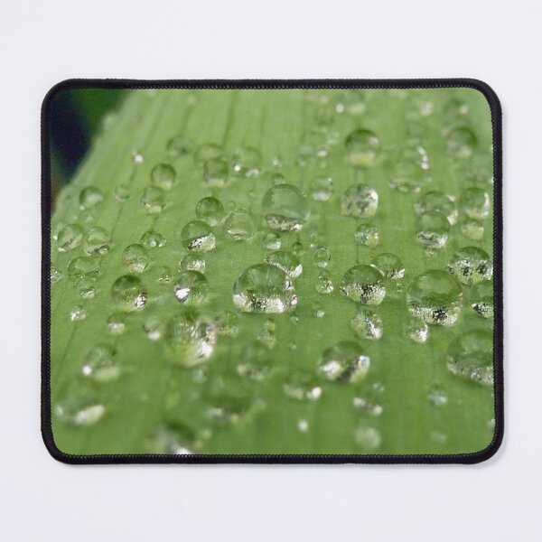 Item preview, Water Drops Leaf 2 designed and sold by SeeGodAroundUs.