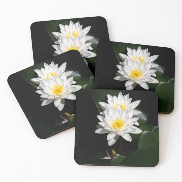 Item preview, Duet of beautiful water lilies sun lighted in a shadowed water.background.  designed and sold by Maryna Gumenyuk.