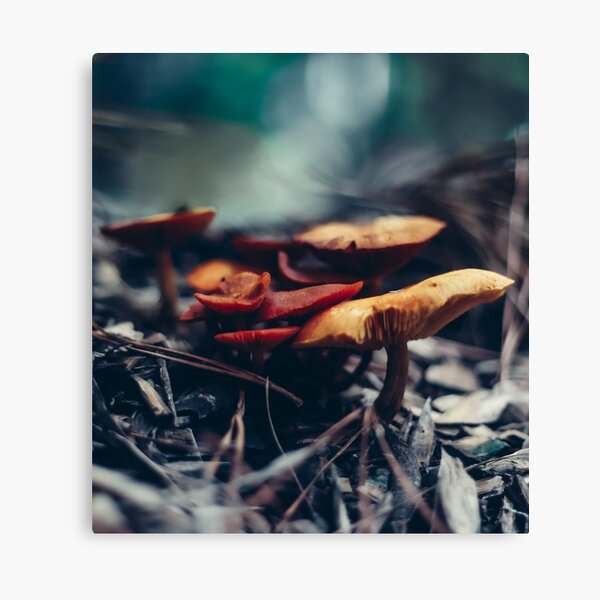 Item preview, Majestic mushroom designed and sold by NatureofJoy.