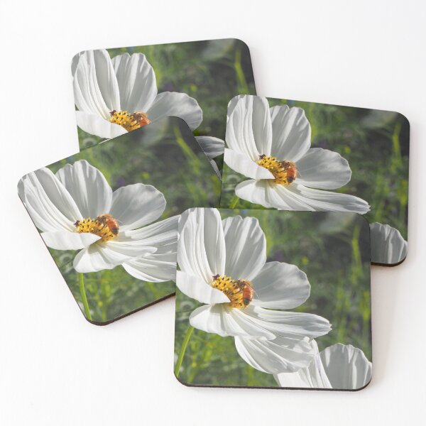 Item preview, Cosmos and Bee designed and sold by ephemeralconcrete.