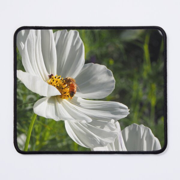 Item preview, Cosmos and Bee designed and sold by ephemeralconcrete.