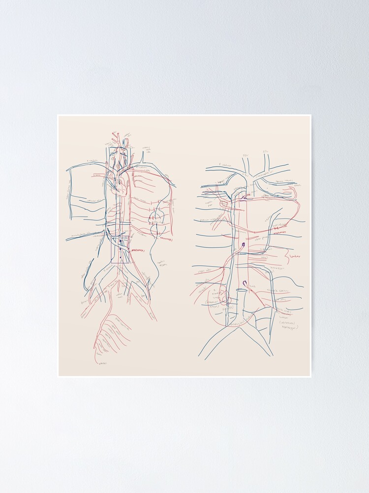 Thumbnail 1 of 3, Poster, Vital Pathways designed and sold by ascherf.