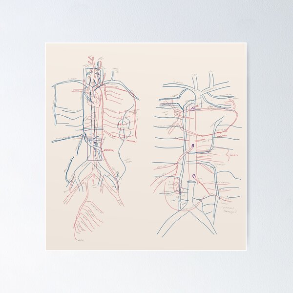 Item preview, Vital Pathways designed and sold by ascherf.