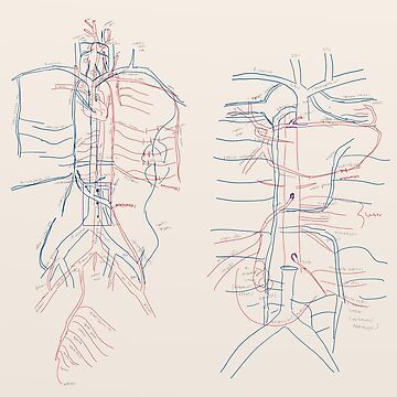 Artwork thumbnail, Vital Pathways by ascherf