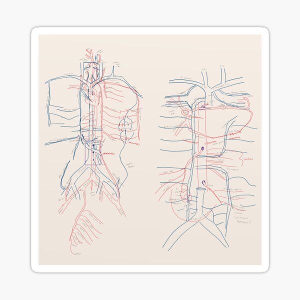 Item preview, Vital Pathways designed and sold by ascherf.