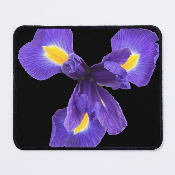 Item preview, Blue and Yellow designed and sold by ascherf.