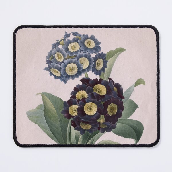 Item preview, Primula auricula designed and sold by 19th Century in Color.