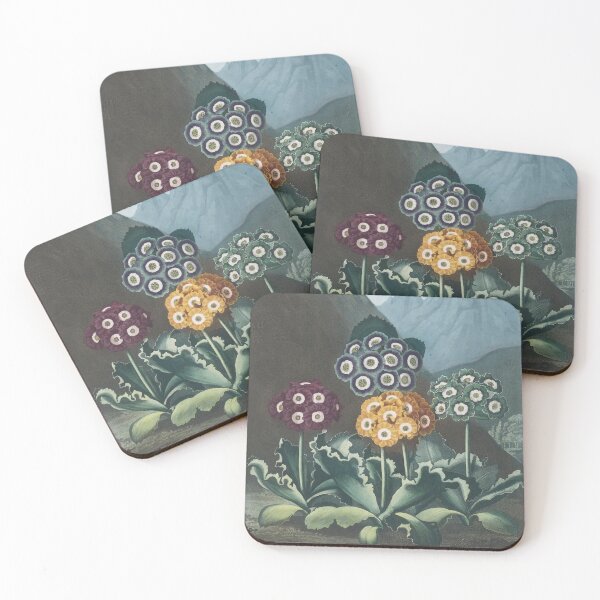 Item preview, A Group of Auriculas designed and sold by 19th Century in Color.