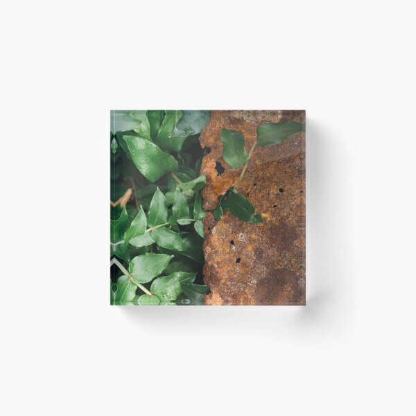 Item preview, Growth and Decay designed and sold by danieljwphoto.