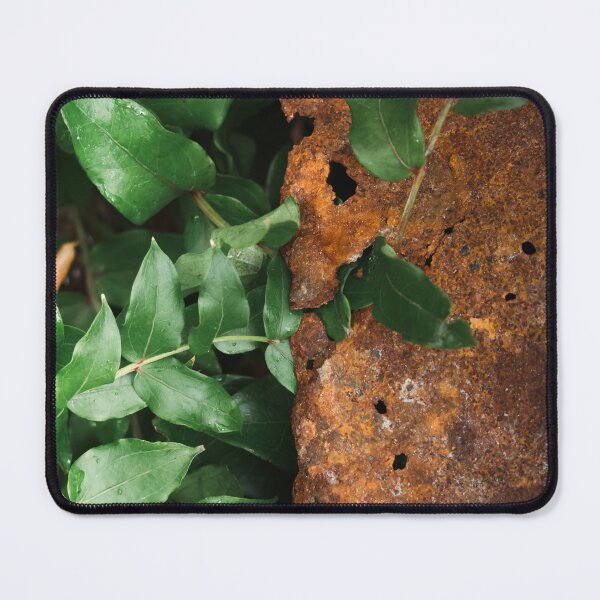 Item preview, Growth and Decay designed and sold by danieljwphoto.