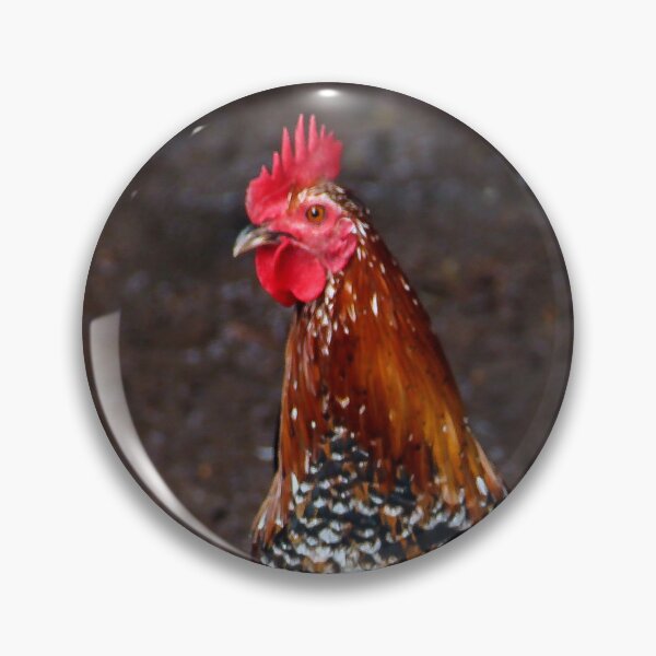 Item preview, Mr Rooster and His Hen  designed and sold by heatherfriedman.