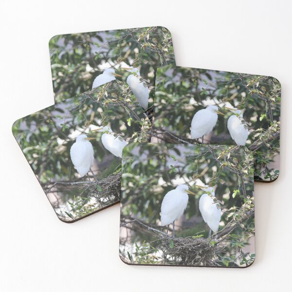 Item preview, Egret Chicks designed and sold by STHogan2.