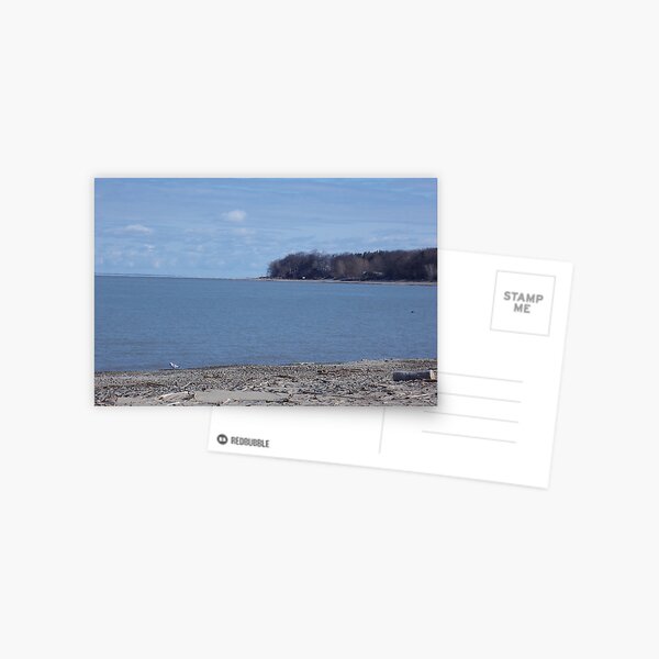 Item preview, Sea Gull Contemplating Life at Lake Erie designed and sold by fierceautie.