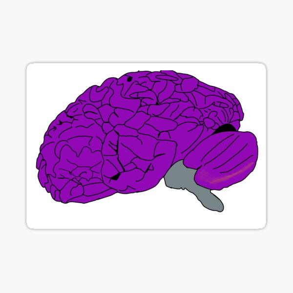Item preview, Brain designed and sold by ThesingleHshow.