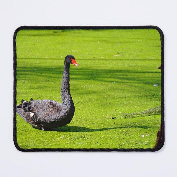 Item preview, Swan in Green designed and sold by D-GaP.