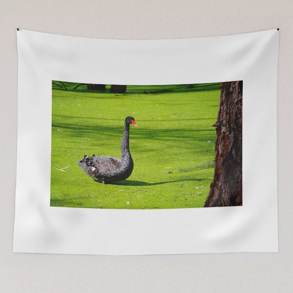 Item preview, Swan in Green designed and sold by D-GaP.