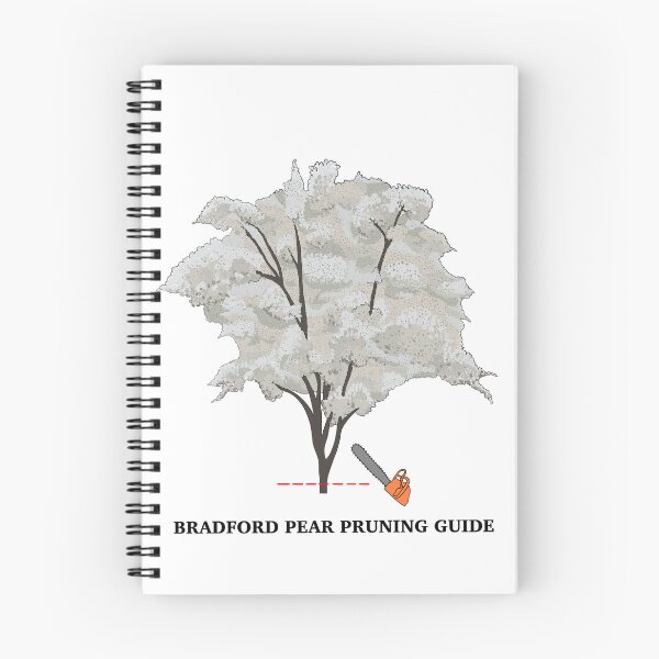 Item preview, Bradford Pear Tree Pruning Guide designed and sold by SmudgeWorks.