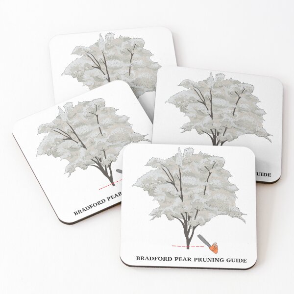 Item preview, Bradford Pear Tree Pruning Guide designed and sold by SmudgeWorks.