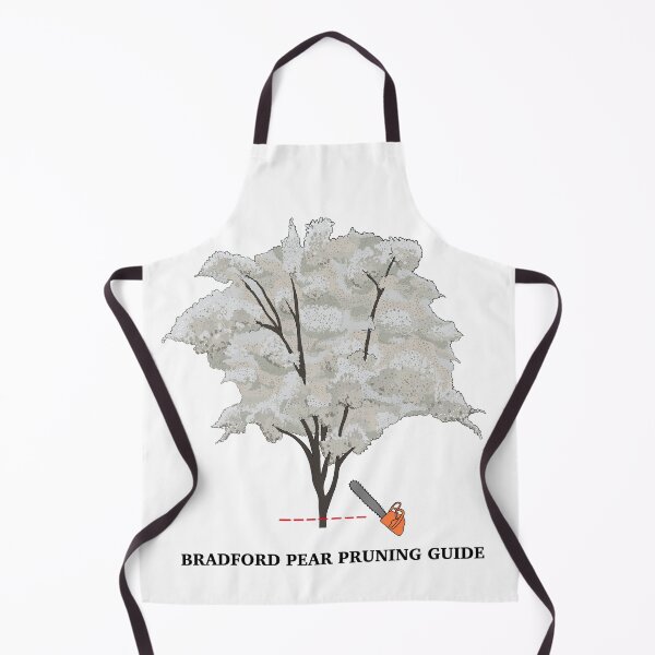 Item preview, Bradford Pear Tree Pruning Guide designed and sold by SmudgeWorks.