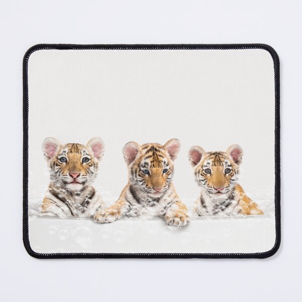 Item preview, Three Baby Tigers in Bathtub Neutral Print, Tiger Cub Bathing, Animals in Bathtub Art by Synplus designed and sold by synplus.