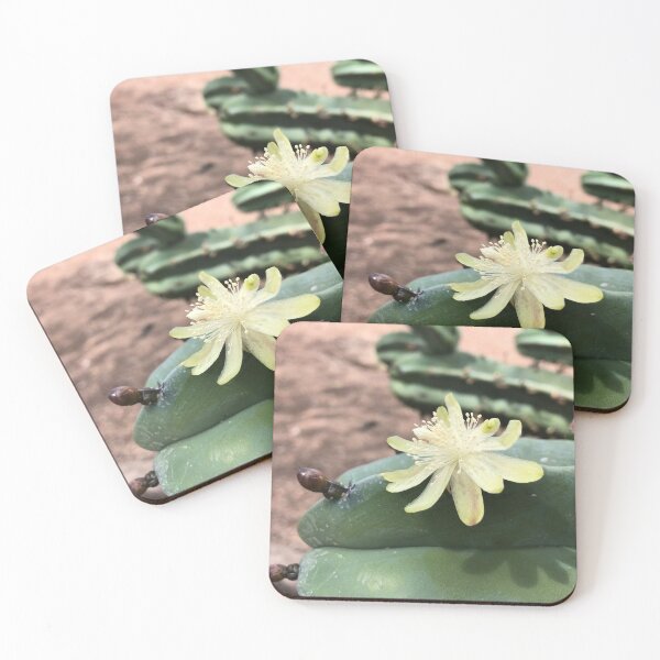 Item preview, Garambullo flower designed and sold by RDLT.