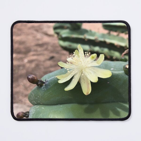 Item preview, Garambullo flower designed and sold by RDLT.