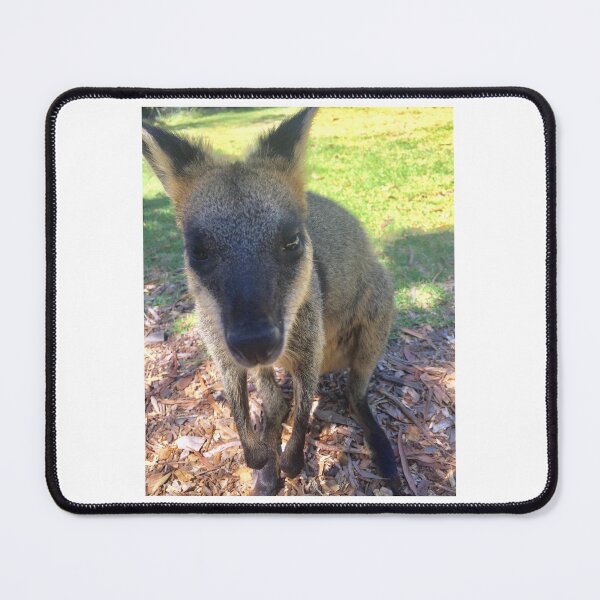 Item preview, CUTE WALLABY designed and sold by trevorp.