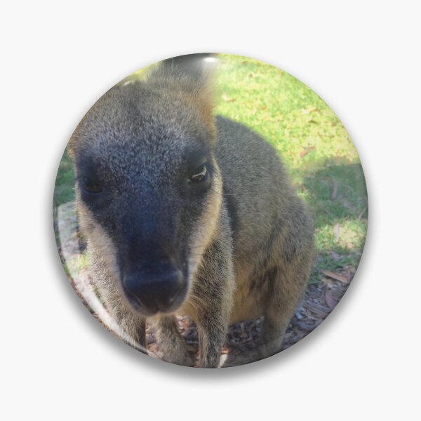 Item preview, CUTE WALLABY designed and sold by trevorp.