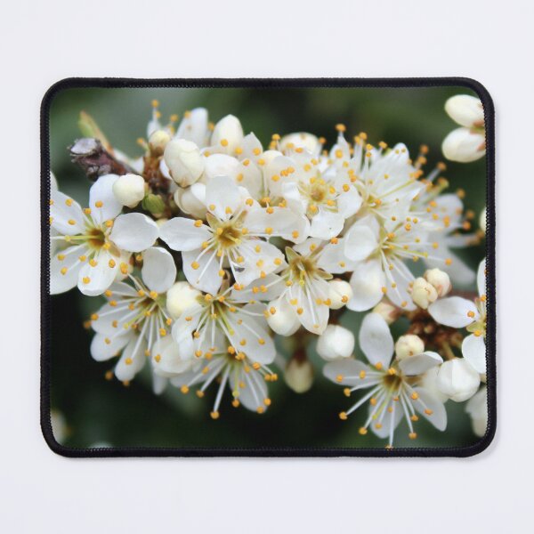 Item preview, spring flower designed and sold by KathleenDawson.