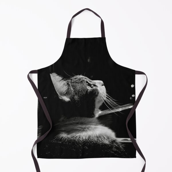 Item preview, Black and White Cat Portrait – Moody Tabby Looking Up in Dramatic Light designed and sold by OzzyMac.