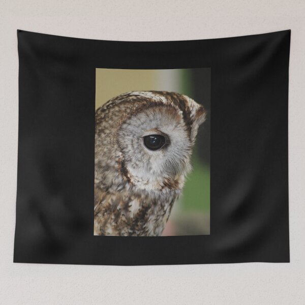 Item preview, Tawny Owl designed and sold by derbyshireduck.
